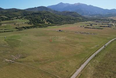 Teren extravilan Rasnov - 11