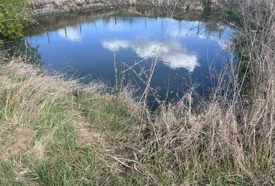 Teren Construcții intravilan de 2098 mp, în Beregsău Mare - 2