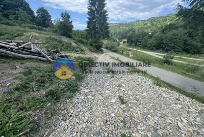 Teren cu o locatie de vis in Pangarati 53 m deschidere la strada - 2