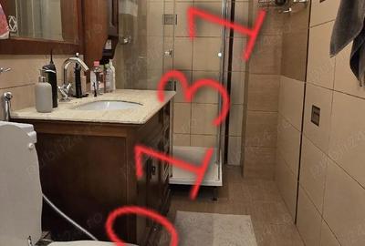 Apartament cu 2 camere decomandat în Timpuri Noi