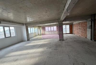 Proprietate specială, de 800 mp, în Theodor Pallady - 41