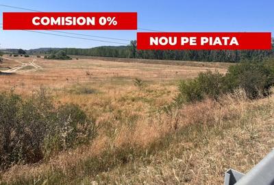 Teren agricol extravilan de 24834 mp, în Mofleni