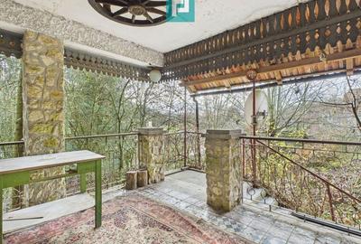 Casă P+E+M cu teren 8163 mp – Roșia Nouă (Petriș) - 7