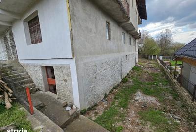 Casă cu Teren 1863 Mp în Baia de Fier - 5
