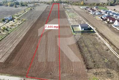 Teren de 7344 mp, în Joița - 7
