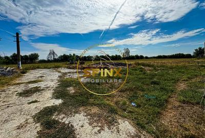 Chiselet, Calarasi, teren intravilan 62000 mp, ferma, logistica, depozitare - 6