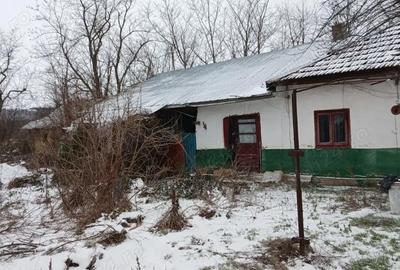 Casă cu 3 camere cu Teren 1600 Mp în Central - 5