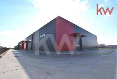 Hale moderne si spatii de birouri de inchiriat, zona aeroportului Craiova - 6