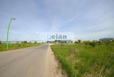 Teren Construcții intravilan de 17400 mp, în Manolache - 8