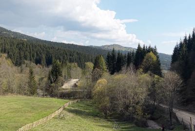 Spațiu comercial, în Valea Doftanei