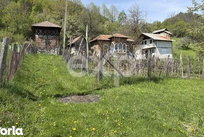 Teren de 14613 mp, în Tigveni - 6