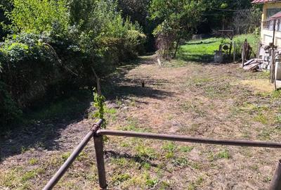 Gospodarie in Jud. Valcea, com. Pe?ceana, sat Ursoaia, 2 case ?i anexe - 10