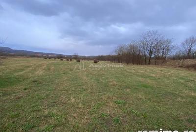 Caransebes, Teren Drept 5087 Mp. Ideal pt Casa 20 Euro Mp. Racovita - 10