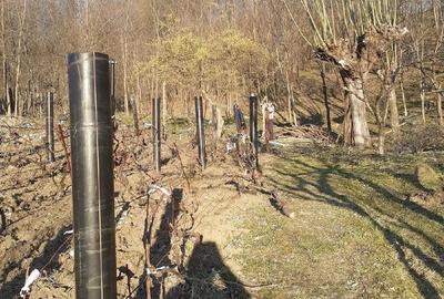 Casă cu Teren 5000 Mp în Bughea de Jos - 3