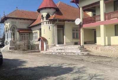 Casă cu 10 camere cu Teren 95000 Mp în Central - 17