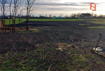 Casă individuală cu 7 camere cu Canalizare în Grabaț - 2