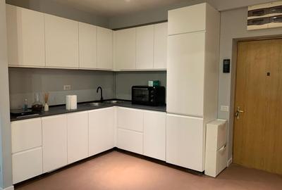 Apartament cu 2 camere semidecomandat, mobilat în Herăstrău - 4