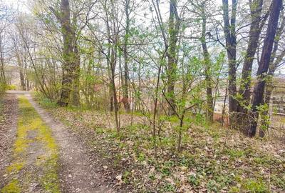 Teren Intravilan Centrul Civic - 4