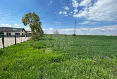 Teren de 9300 mp, în Roua - 1