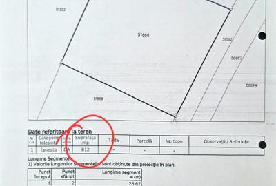 Casa Individuala Parter de Vanzare in Satu Nou de Jos cu 815 MP teren - 5