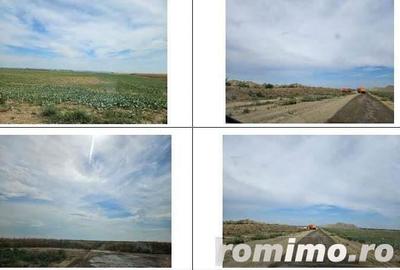 Teren cota parte 4/16 Horia, ID: R1967996 - 1