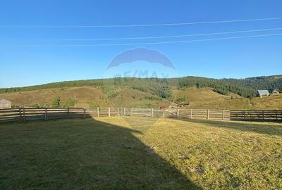 Teren de 3272 mp, în Beliș - 5