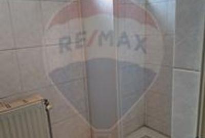 Spațiu comercial, de 2,100 mp, în Valea Rosie - 18