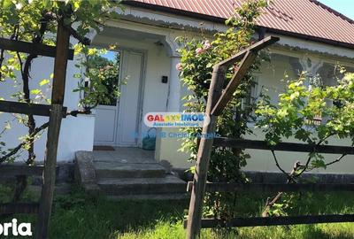 Casă cu 4 camere cu Teren 2000 Mp în Cocu