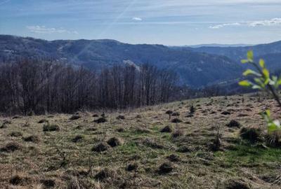 Teren de 30209 mp, în Groșuri - 1