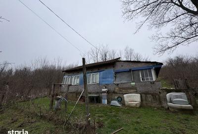 Teren de 2038 mp, în Ghercești - 4