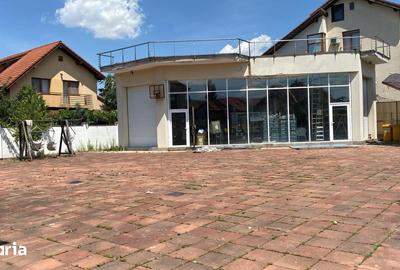 Casă cu 6 camere cu Teren 1753 Mp în Dumbrăvița - 3