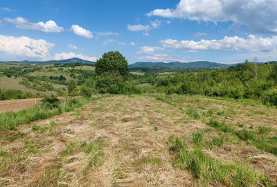 1,3 HA TEREN EXTRAVILAN, Muntii Apuseni, Negreni, jud. Cluj, la 5 km de E60 - 2