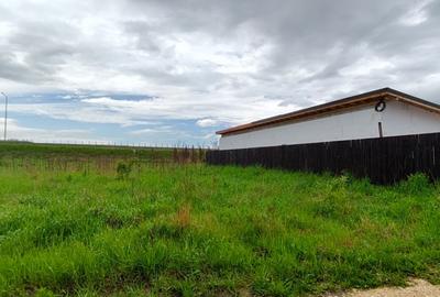 Teren Construcții intravilan de 800 mp, în Cristian - 3