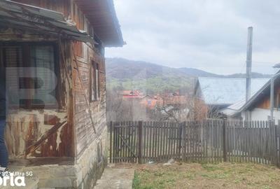 Teren de 1000 mp, în Izvoarele - 5