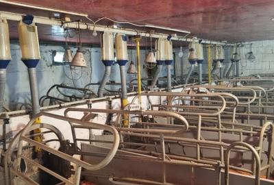 Spațiu industrial, de 1,600 mp, în Exterior Nord - 7