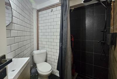 Apartament cu 3 camere în Orașul Nou - 5