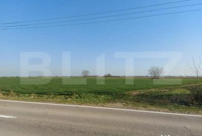 Teren de 11600 mp, în Central