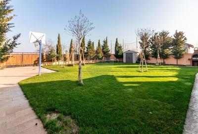 Vilă P+E+M cu 4 camere, 320 mp, Berceni/Ilfov - 31