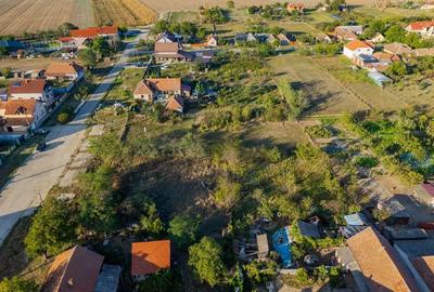 Teren Intravilan De Vanzare Sambateni - 7