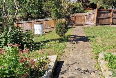 Casă individuală cu 6 camere cu Canalizare în Provița de Jos - 12