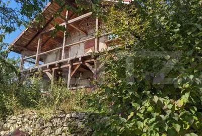 Casă cu 3 camere cu Teren 4873 Mp în Moldovenești - 17