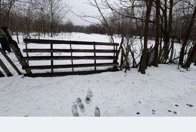 Teren de 5000 mp, în Polovragi - 3