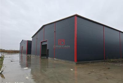 Spațiu comercial, de 600 mp, în Theodor Pallady - 9