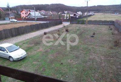 Teren Construcții intravilan de 5000 mp, în Big-Bascov - 1