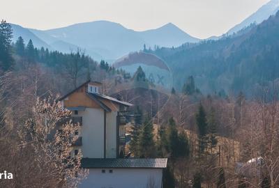 Spațiu comercial, de 750 mp, în Sohodol - 19