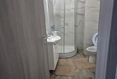 Apartament cu 2 camere decomandat, mobilat în Tătărași - 8