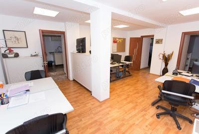 Spatiu de birou, demisol, vila, Parcul Carol Unirii, cu gradina - 8