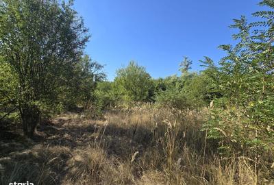 Spațiu comercial, în Lupăria - 5