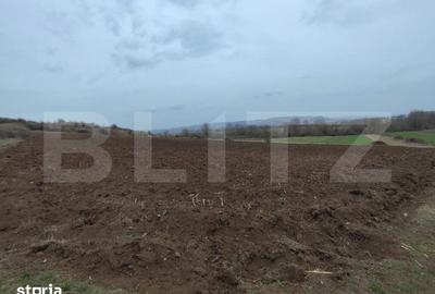 Teren de 9700 mp, în Central - 1