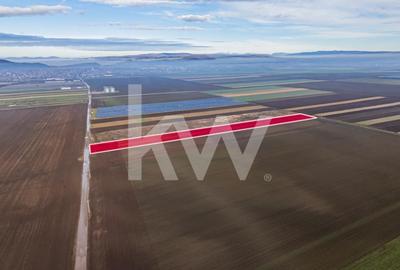 Teren Construcții intravilan de 16000 mp, în Hărman - 1